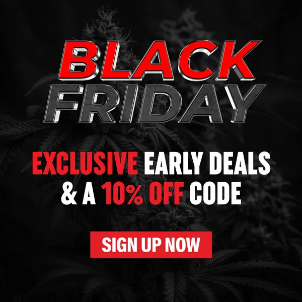 Black Friday Sign-Up