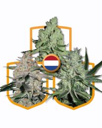 Classic Marijuana Seeds Pack