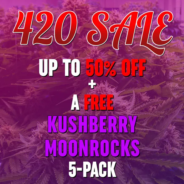 MSNL 420 Sale 2026