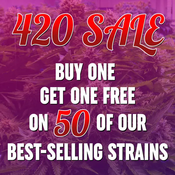 MSNL 420 Sale 2026