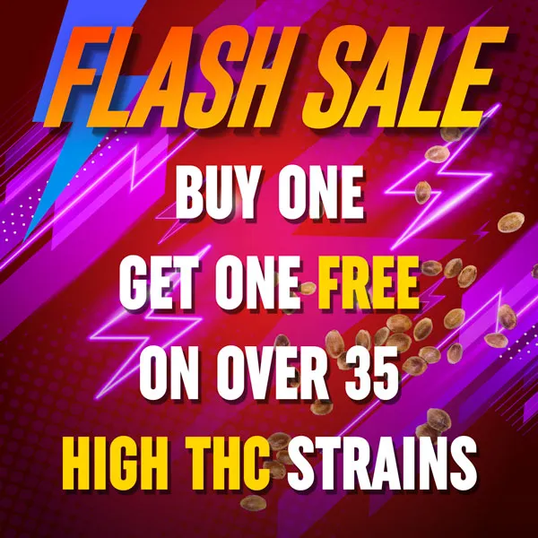 MSNL Flash Sale (March 2026)