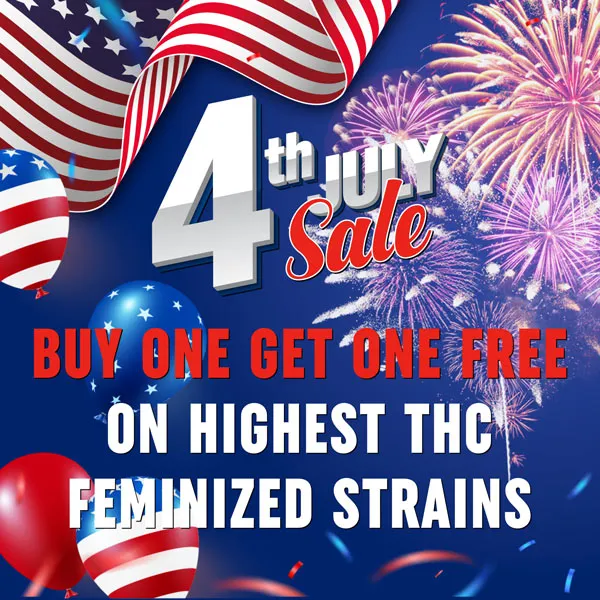 MSNL Independence Day Sale 2026