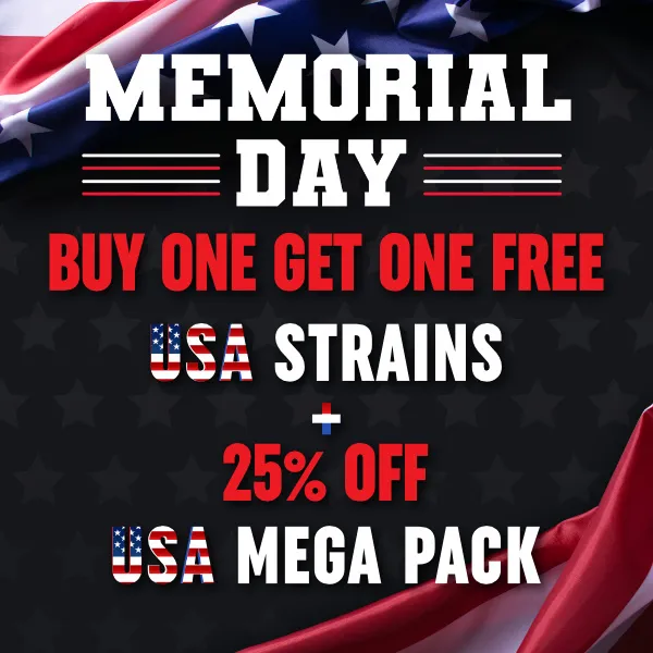 MSNL Memorial Day Sale 2026