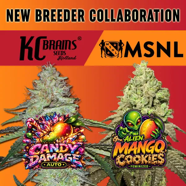 MSNL New Strains July 2026