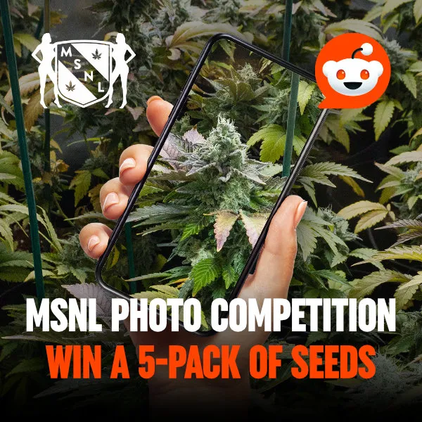 Reddit Photo Competition