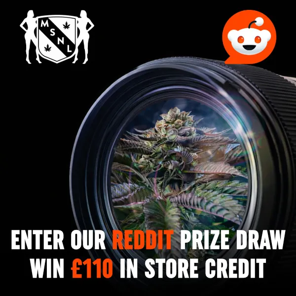 Reddit Prize Draw (UK)