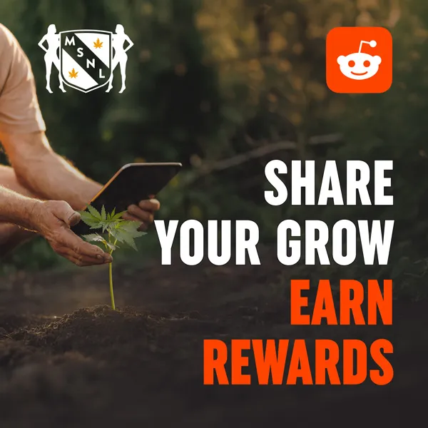 MSNL Rewards Program (Reddit)