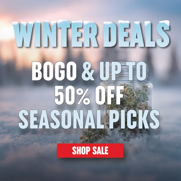 MSNL Winter Sale 2025