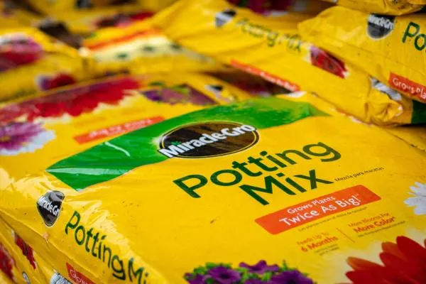 Is Miracle-Gro Good for Pot Plants and Growing Weed?