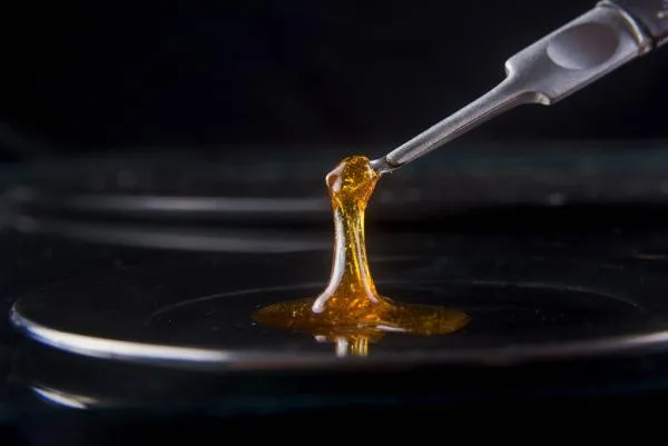 Cannabis Extraction and Concentrates: Methods, Types & Best Strains