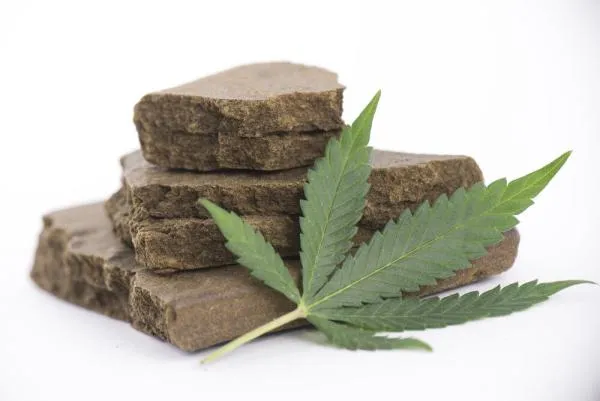 What is Hash Weed? A Complete Guide to Cannabis Hash