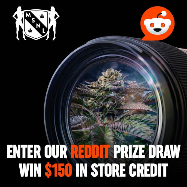 Cannabis Seeds Competition