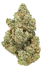 High CBD seeds bud