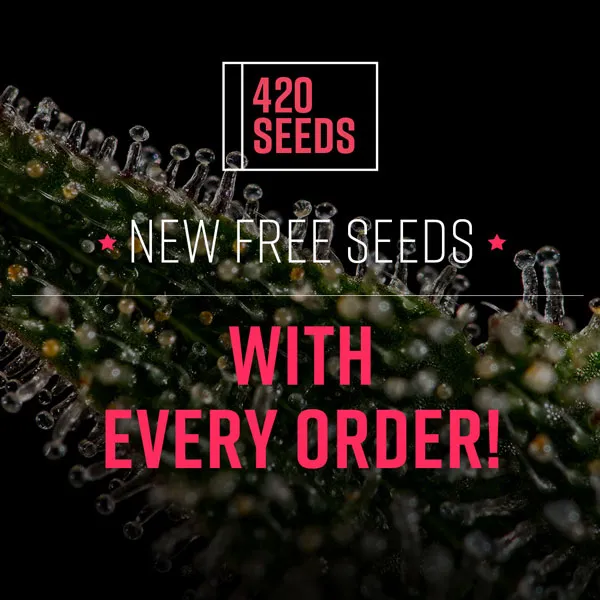 Free Seeds