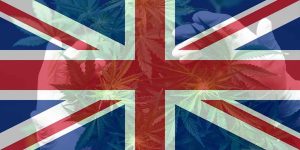 Cannabis Legalisation UK (2)