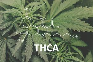 THCa molecule1