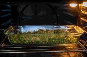 decarbing weed in a glass oven baking dish