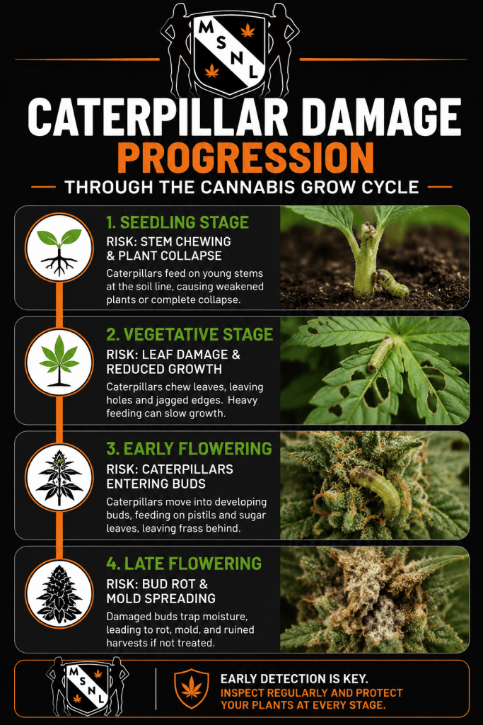 caterpillar damage progression chart