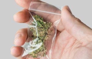 dub-of-weed-1