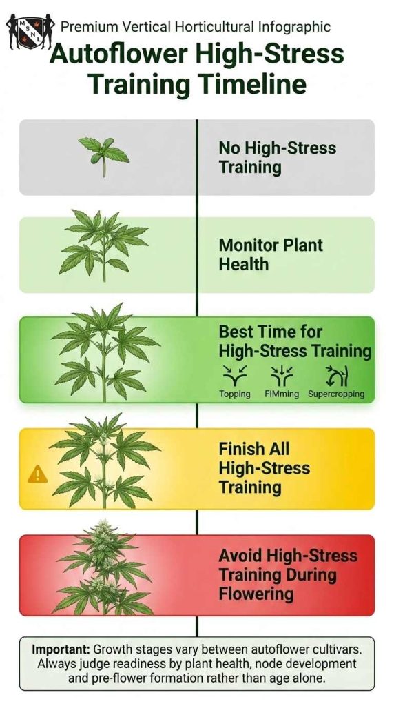 autoflower high stress training