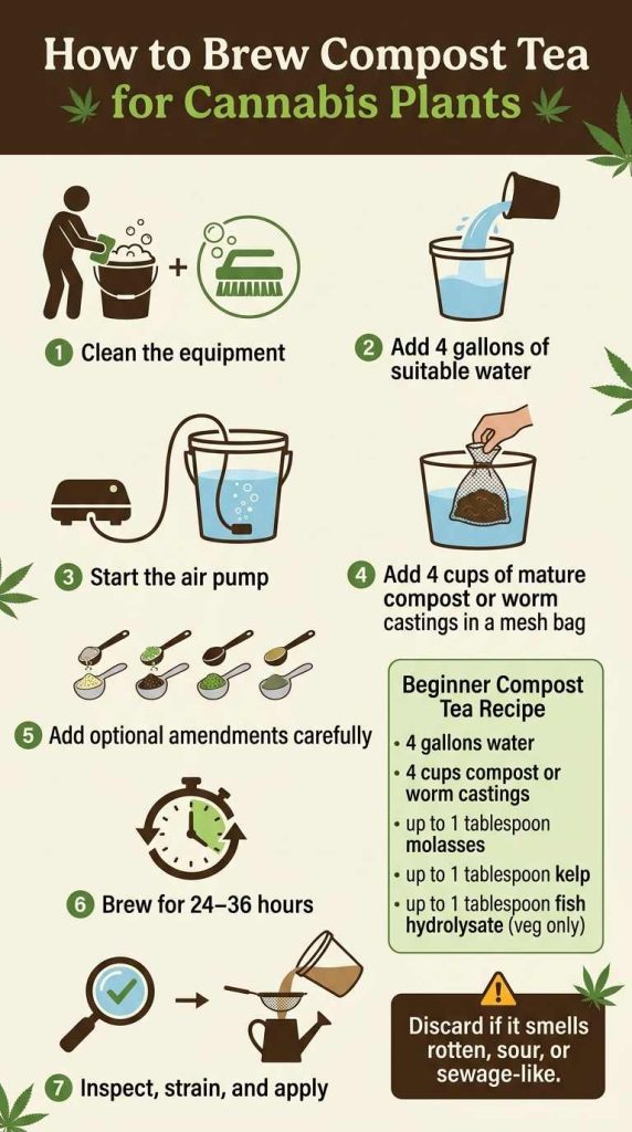 Infographic showing step-by-step instructions for brewing compost tea for cannabis plants