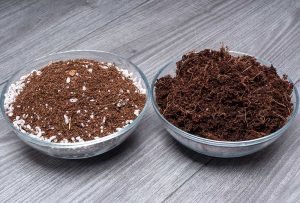 cannabis-growing-medium-1.jpg