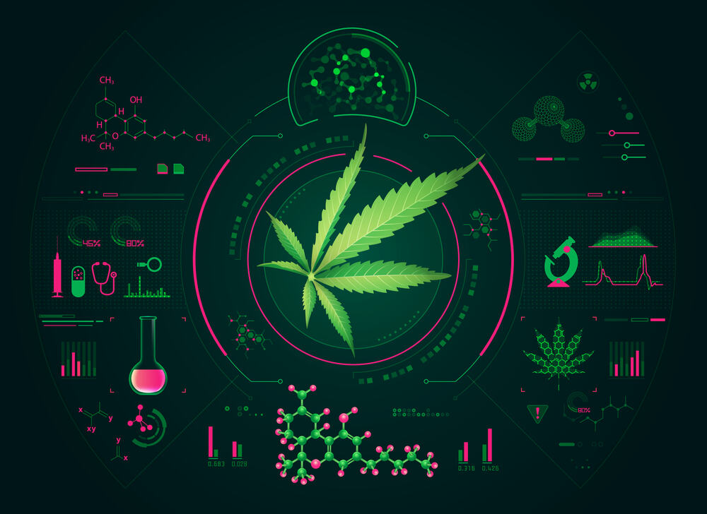 a vector of cannabis chemical analysis with icons relating to cannabis