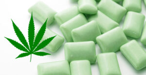 New-THC-Infused-Gum-Will-Provide-Pain-Relief-For-Patients