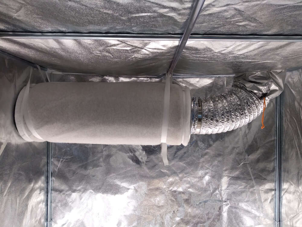 a carbon filter in an indoor cannabis grow tent