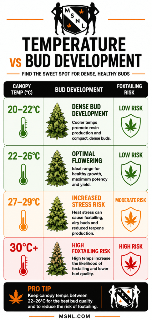 cannabis plants temperature vs bud development infographic chart