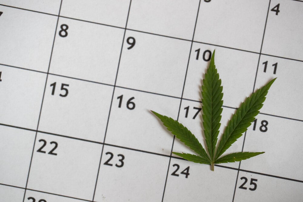 a cannabis leaf on a calendar