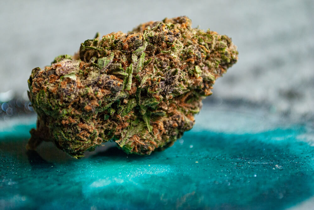 Hochwertige Forbidden Fruit Cannabis Blüten für den Verkauf