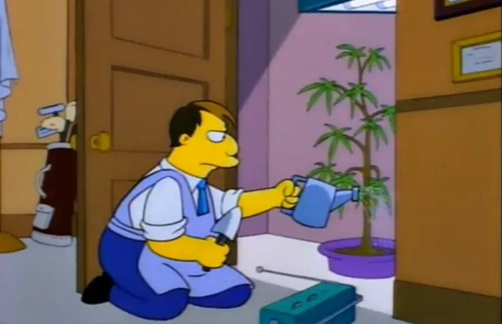 mayor quimby from the simpsons watering a cannabis plant in a secret closet