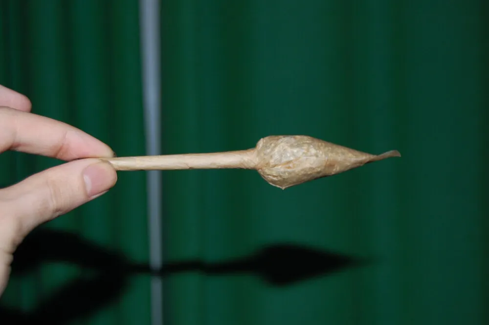 hand holding a tulip grant with a green curtain in the background