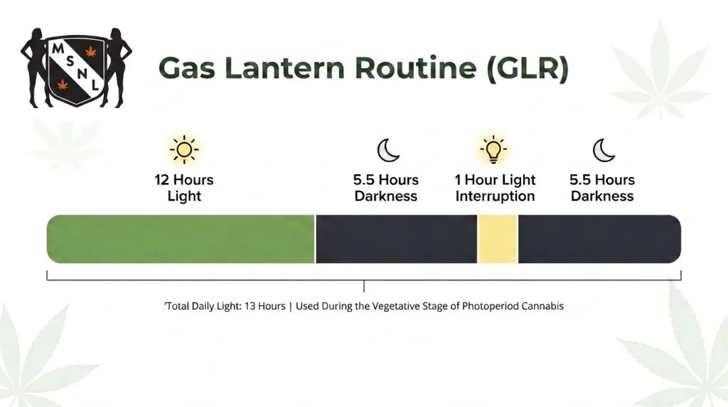 gas lantern routine GLR
