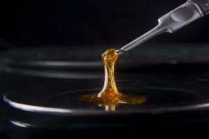 cannabis oil concentrate and extract