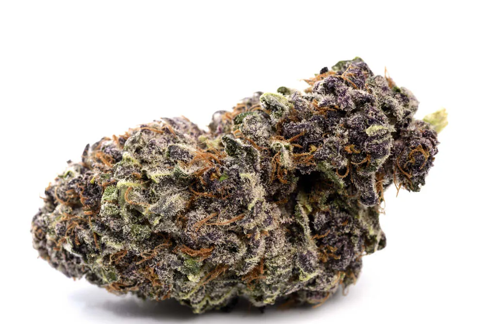 weed bud covered in trichomes