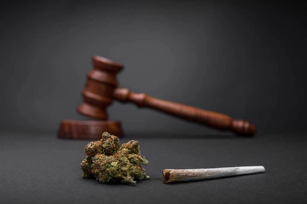Weed Legalisation UK