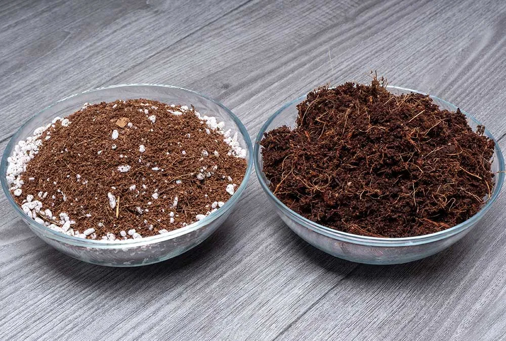 two different types of soil in a glass jar on a wooden floor