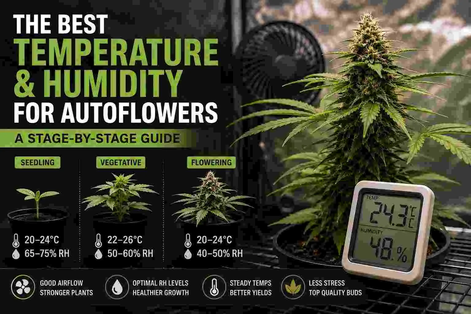 Best Temperature and Humidity for Autoflowers: A Stage-by-Stage Guide