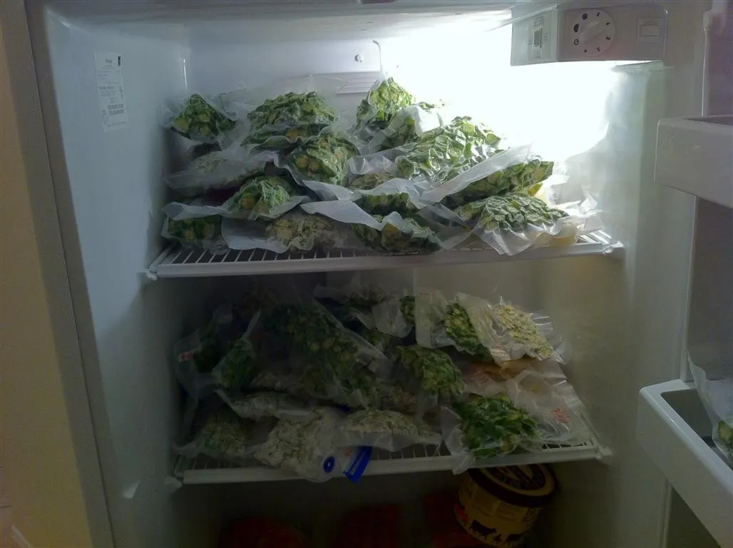 can you put tobacco in the freezer How to Store to Preserve Its Freshness? Freezing and Storing Cigars in