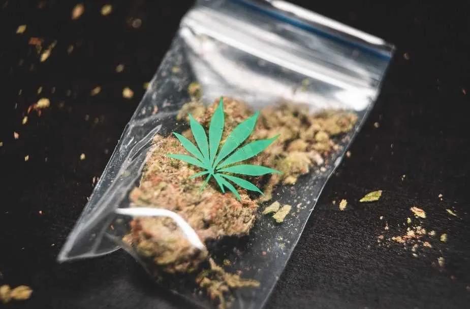 dub of weed