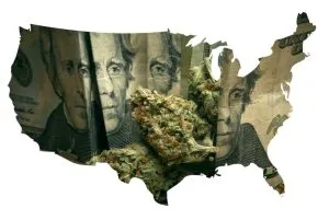 marijuana reform in usa