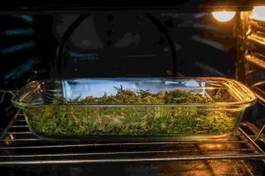 decarbing weed in a glass oven baking dish